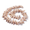 Natural Spiral Shell Beads Strands X-BSHE-I016-08-2
