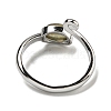 Natural Labradorite Adjustable Rings RJEW-K269-08P-03-3