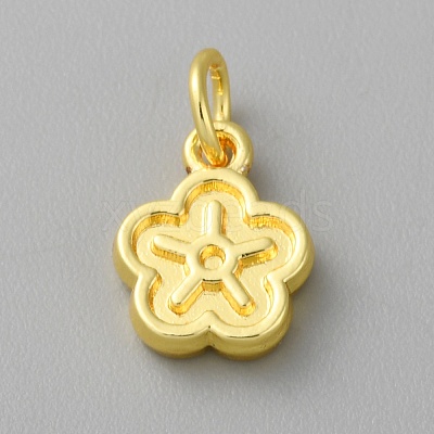 Alloy Pendants LS-FIND-WH0159-63G-30-1