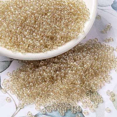 MIYUKI Round Rocailles Beads X-SEED-G008-RR0161-1