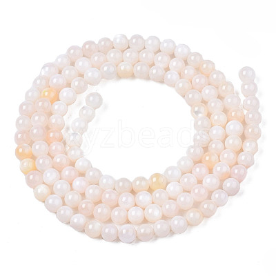Natural Freshwater Shell Beads Strands BSHE-T009A-01B-1