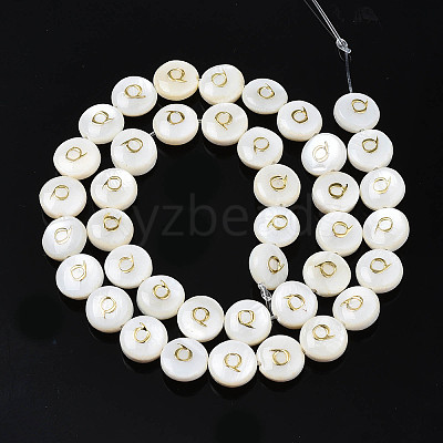 Natural Freshwater Shell Beads SHEL-S276-168Q-1