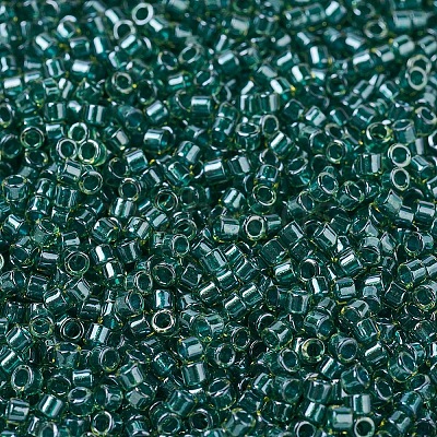 MIYUKI Delica Beads SEED-J020-DB0919-1