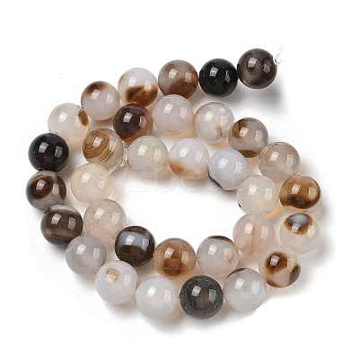 Natural Dendritic Agate Beads Strands G-A248-A07-03-1