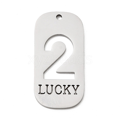 304 Stainless Steel Pendants STAS-D200-02C-P-1