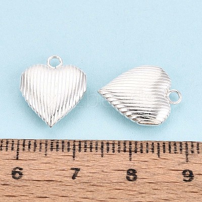 925 Sterling Silver Heart Charms STER-N017-28S-1