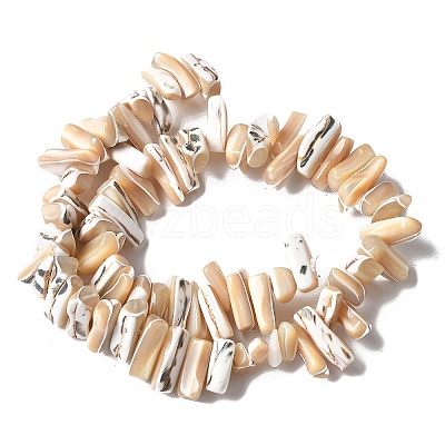 Dyed Natural Trochus Shell Beads Strands X-SSHEL-C013-09K-1