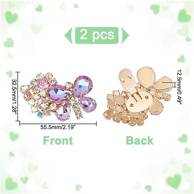 2Pcs Butterfly Alloy Glass Rhinestone Shoe Decoration FIND-AR0005-01A-1
