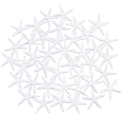 Resin Cabochons RESI-PH0001-34-1