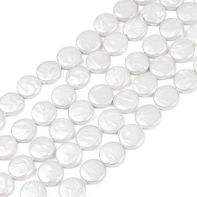Electroplate Porcelain Imitation Pearl Beads Strands BSHE-Z009-02B-1