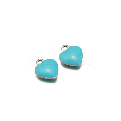 Stainless Steel Charms PW-WG0E535-08-1
