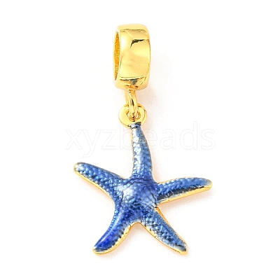 Brass Enamel European Dangle Charms KK-M247-11G-02-1