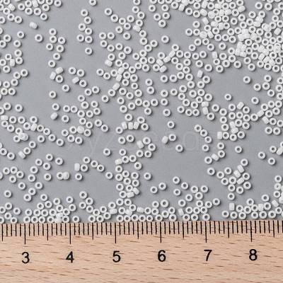MIYUKI Round Rocailles Beads X-SEED-G009-RR0402-1