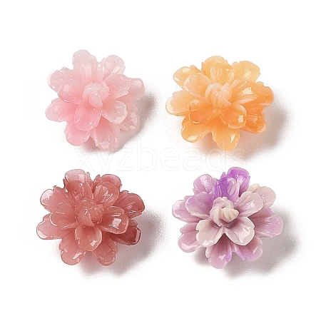 Synthetic Shell Dyed Beads SHEL-C006-01-1