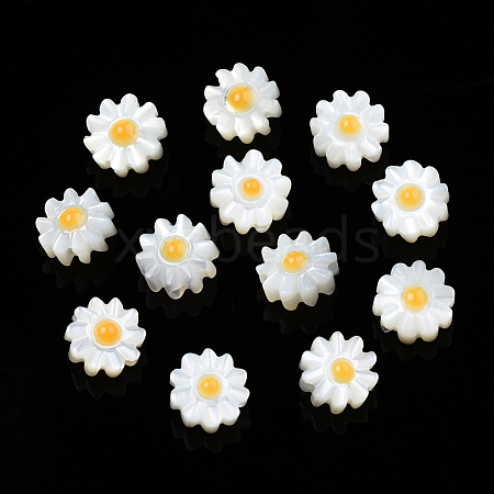 Natural White Shell Enamel Beads SSHEL-N034-124B-01-1