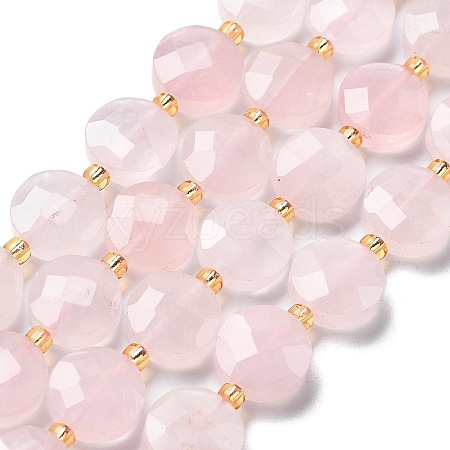 Natural Rose Quartz Beads Strands G-B094-A28-01-1