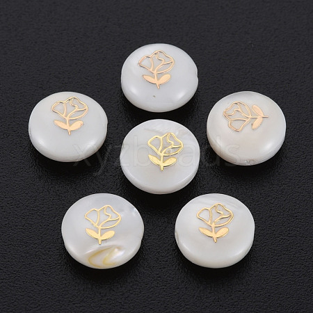 Natural Freshwater Shell Beads SHEL-S278-055-1