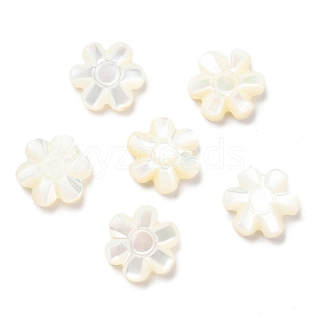 Natural Trochid Shell/Trochus Shell Beads SSHEL-R145-07-1