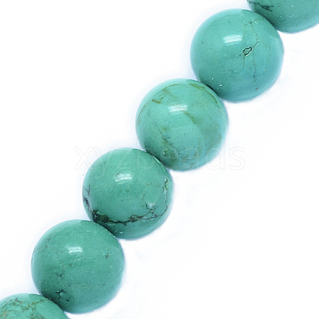 Natural Howlite Beads Strands TURQ-P027-32-12mm-1