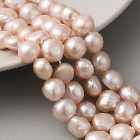 Natural Cultured Freshwater Pearl Beads Strands PEAR-A006-10F-1