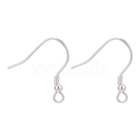 925 Sterling Silver Earring Hooks STER-M031-02S-1