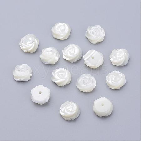 Natural Sea Shell Beads SSHEL-Q297-76-1