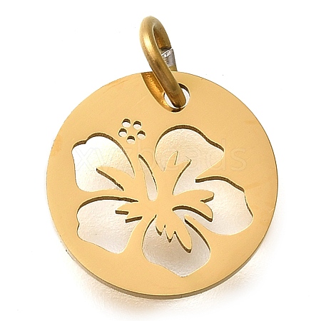 304 Stainless Steel Charms STAS-Z119-14G-1