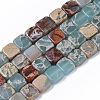 Natural Aqua Terra Jasper Beads Strands X-G-S366-017-1