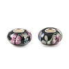 Lampwork & Brass Core European Beads LAMP-P019-01P-09-1