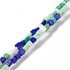 Handmade Lampwork Beads Strands LAMP-F022-01B-1