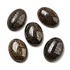 Natural Bronzite Cabochons G-C115-01A-21-1