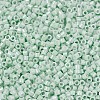 MIYUKI Delica Beads X-SEED-J020-DB1506-3