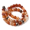 Dyed & Heated Natural Fire Crackle Agate Beads Strands G-P539-B01-19-3