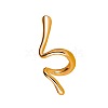 Irregular Alloy Cuff Earrings WGBD15E-07-1