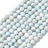 Natural Larimar Beads Strands G-B156-A01-6mm-01-2