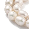 Natural Cultured Freshwater Pearl Beads Strands PEAR-P062-13E-4