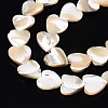 Natural Trochid Shell/Trochus Shell Bead Strands SSHEL-N034-92A-01-3