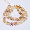 Natural Agate Beads Strands G-I198F-01-2