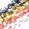 Freshwater Shell Beads Strands BSHE-O017-04-1