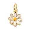 Brass Enamel Charms KK-L216-006G-01-1