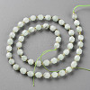 Glass Beads Strands G-S362-089B-2