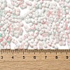 Baking Paint Glass Seed Beads SEED-F005-01A-08-4