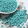 TOHO 8/0 Round Beads X-SEED-TR08-0055-4