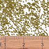 MIYUKI Delica Beads X-SEED-J020-DB2141-4