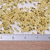 MIYUKI Delica Beads X-SEED-J020-DB0042-4