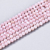 Natural Freshwater Shell Beads Strands X-BSHE-T009-01D-1