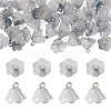 38Pcs Glass Charms GLAA-TADJ0001-19D-1