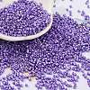 Baking Paint Glass Seed Beads X-SEED-S042-15B-32-1