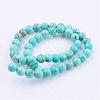 Natural Howlite Bead Strands G-E374-01-8mm-3