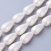 Electroplate Shell Pearl Beads Strands BSHE-O019-12-1